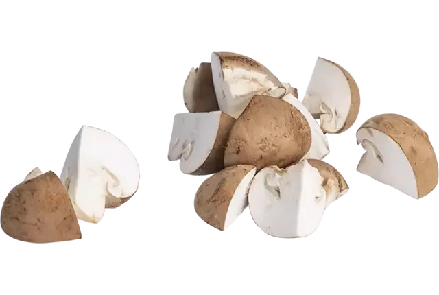 Kastanje champignons kwarten bak 250gr kist 6 stuks